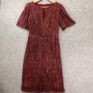 Burgundy Cocktail Dress S ADRIANNA PAPELL 6 Holiday Shimmer Metallic Plisse Glam